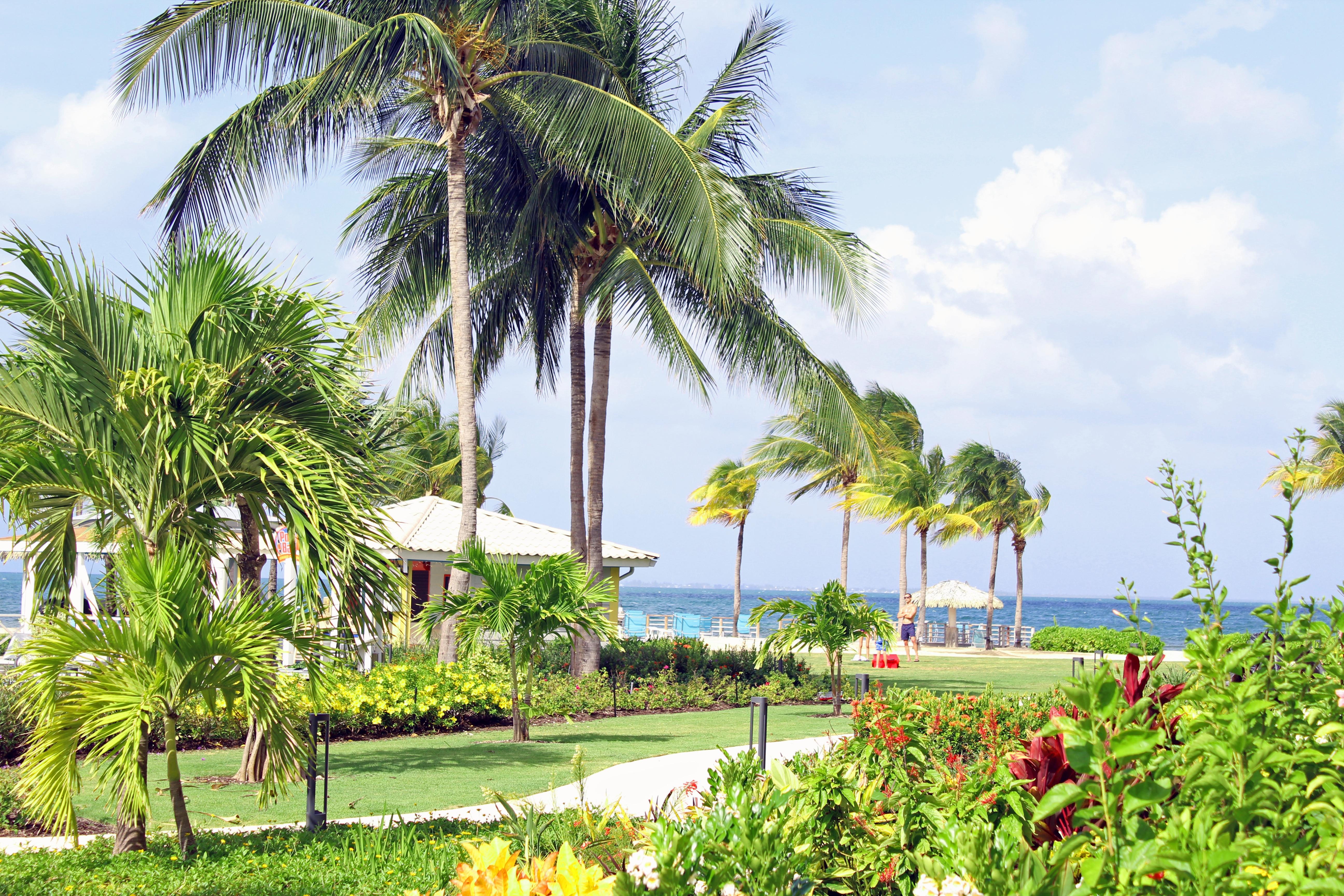 The Grand Caymanian Resort Джорджтаун Екстер'єр фото