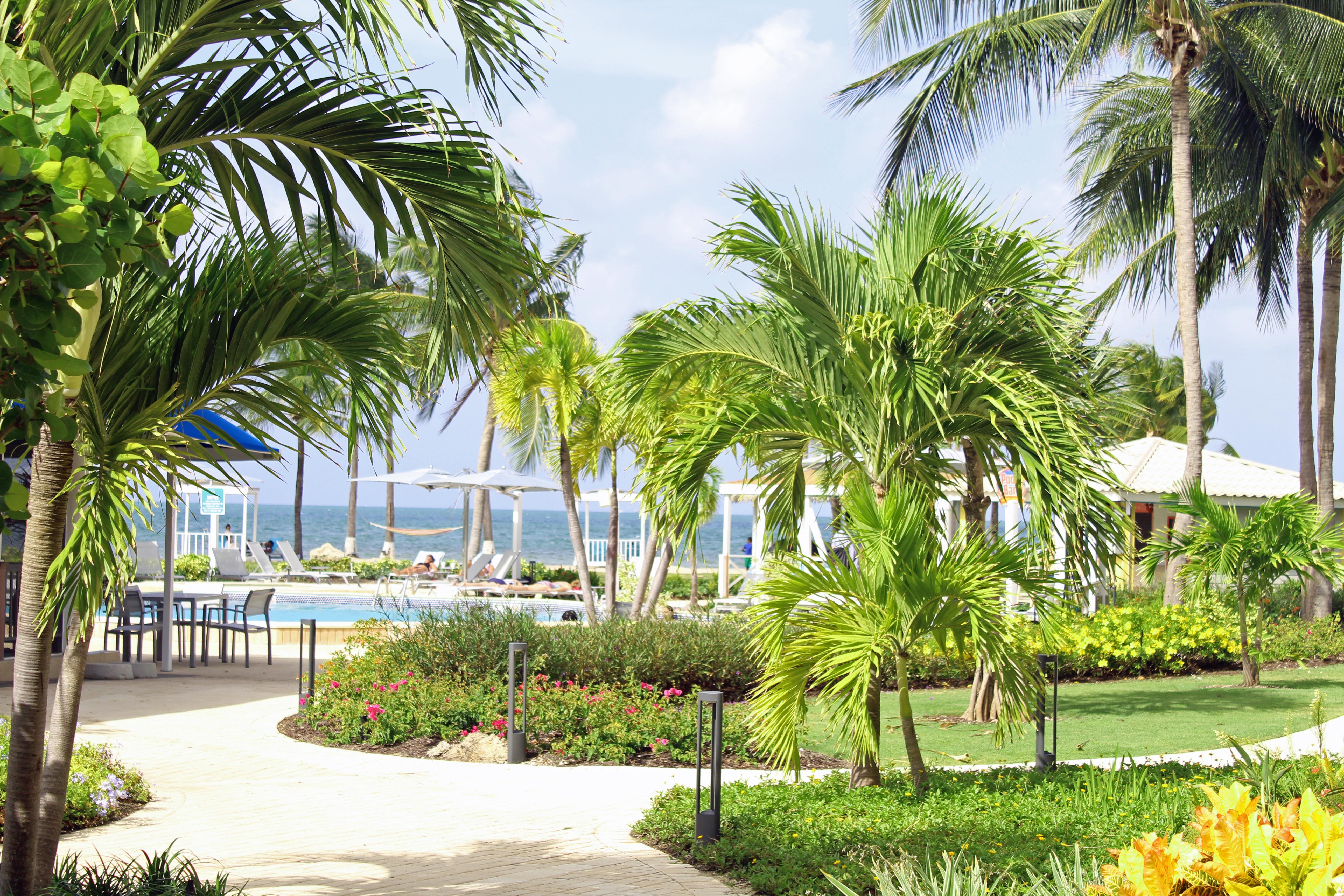 The Grand Caymanian Resort Джорджтаун Екстер'єр фото